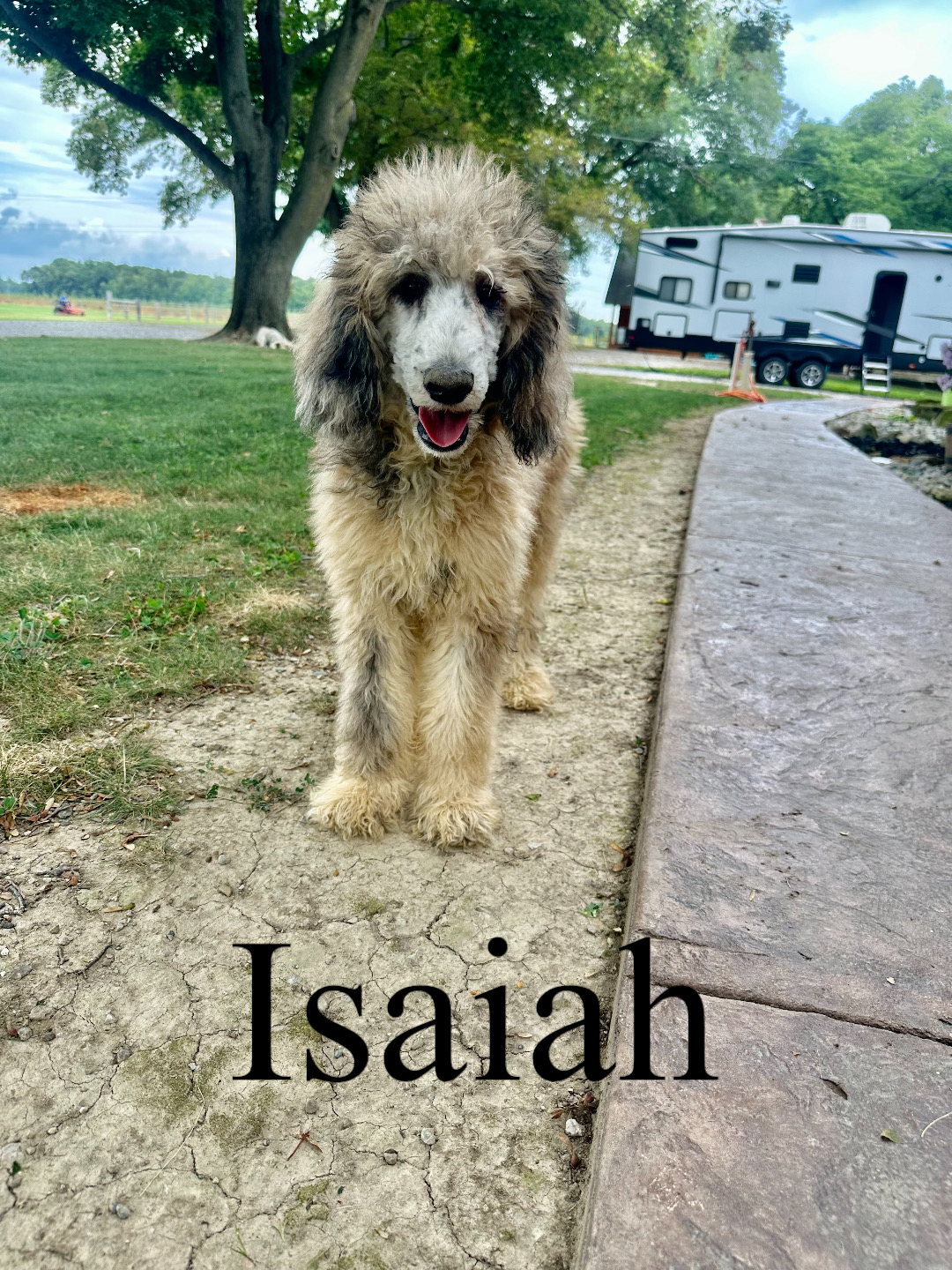 Isaiah 1